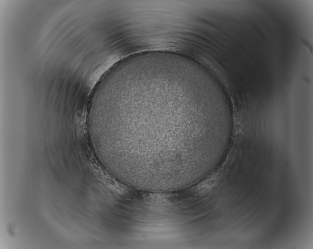 X0000103460875200809261838