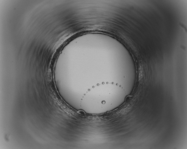 X0000103460876200809261838