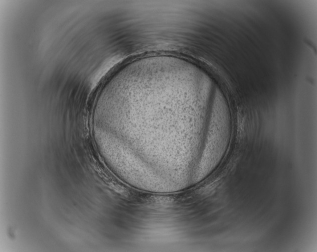 X0000103460878200809261838