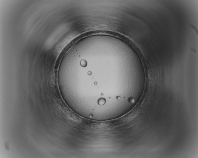 X0000103460879200809261838