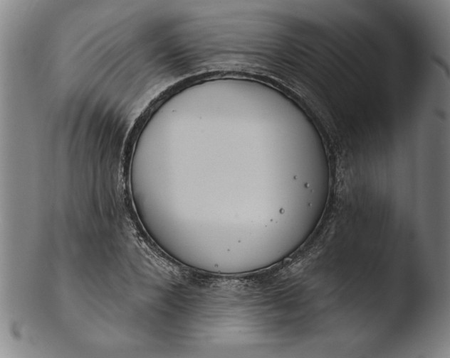 X0000103460880200809261838