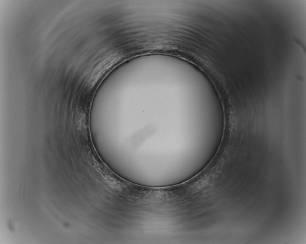 X0000103460881200809261838