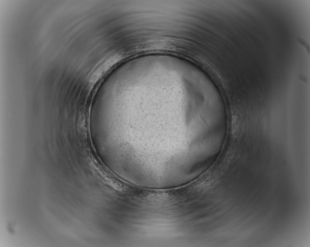 X0000103460882200809261838