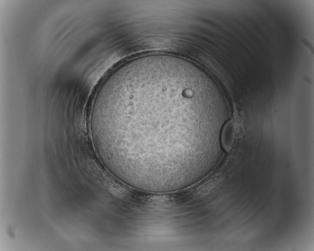 X0000103460883200809261838