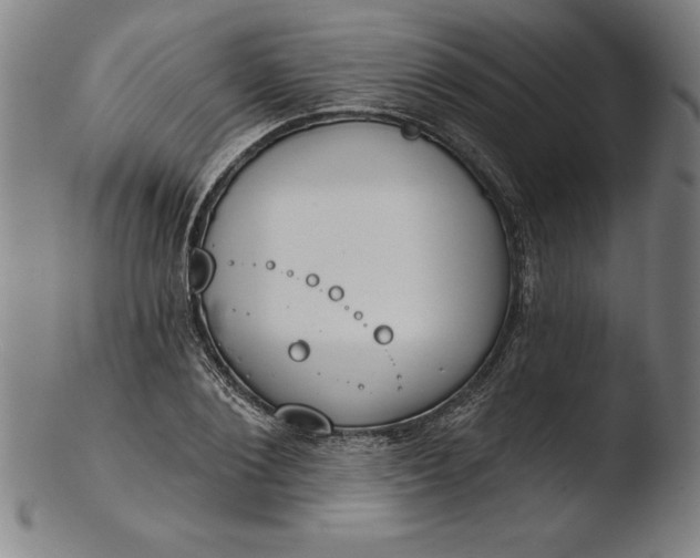 X0000103460884200809261838