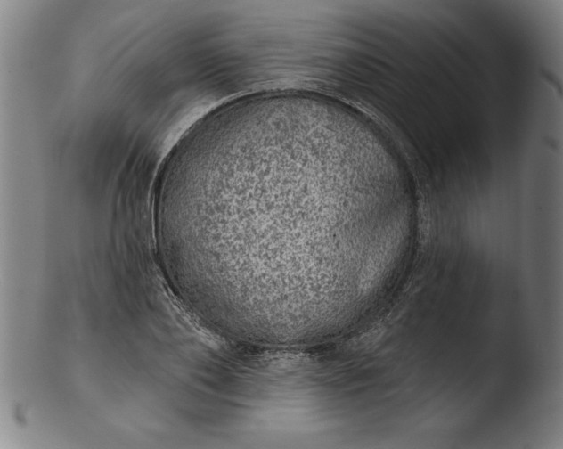 X0000103460886200809261838