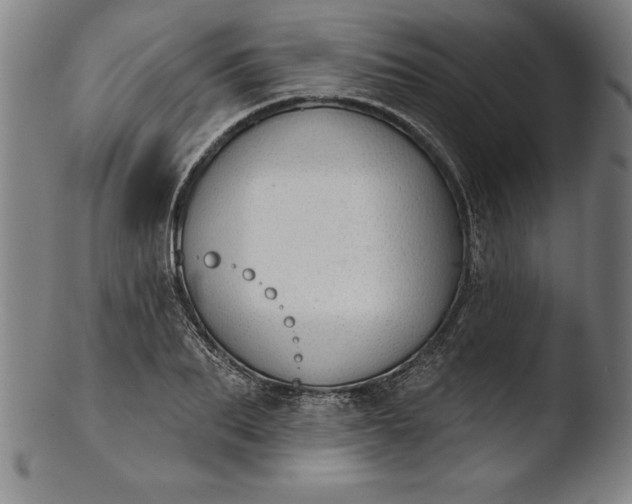 X0000103460887200809261838