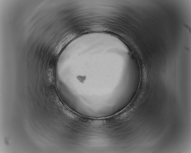 X0000103460889200809261838