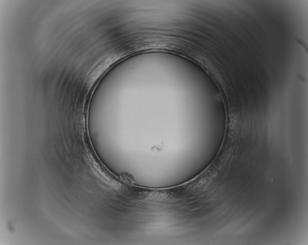 X0000103460890200809261838