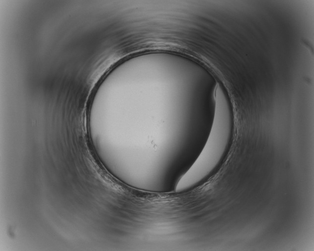 X0000103460891200809261838