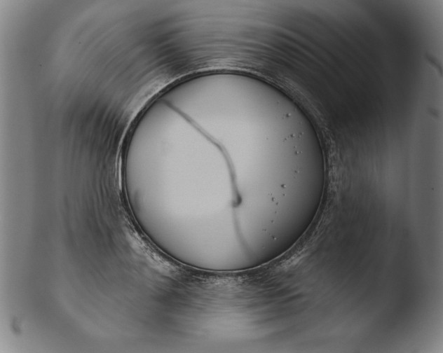 X0000103460892200809261838