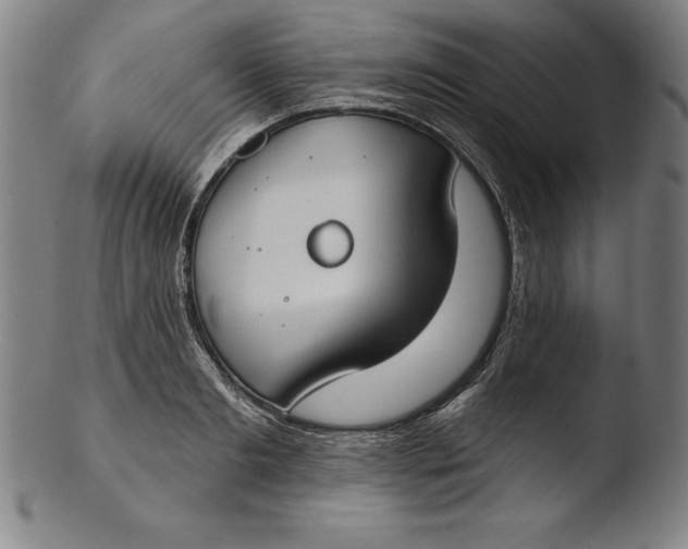 X0000103460893200809261838