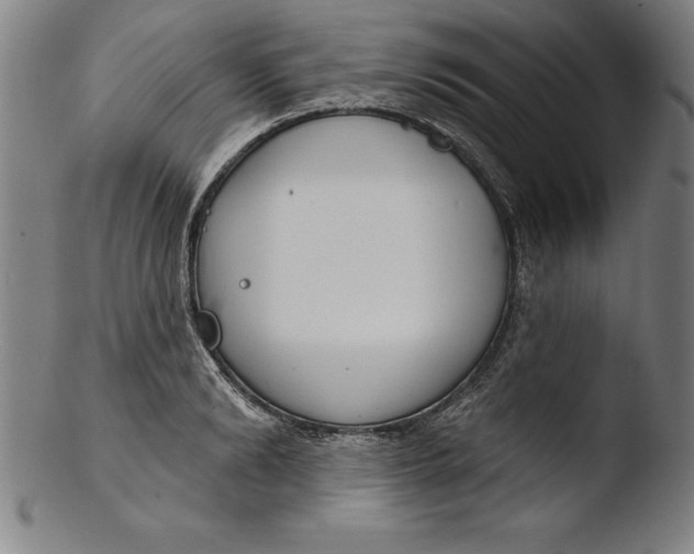 X0000103460894200809261838