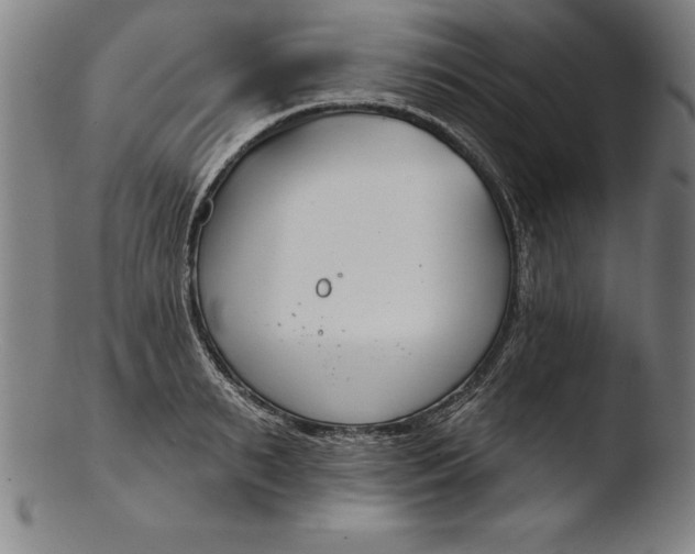 X0000103460895200809261838