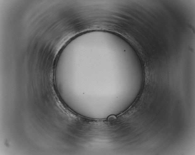 X0000103460896200809261838