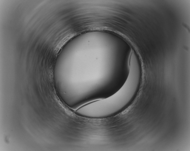 X0000103460897200809261838