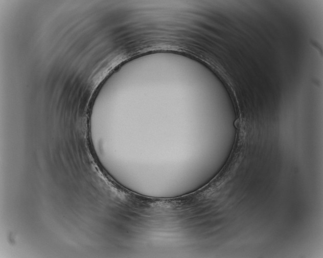 X0000103460898200809261838