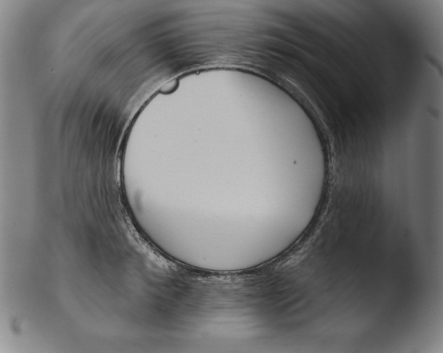 X0000103460900200809261838