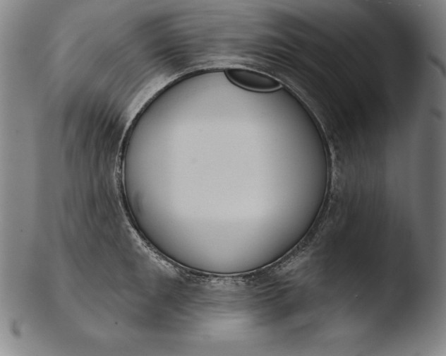 X0000103460901200809261838