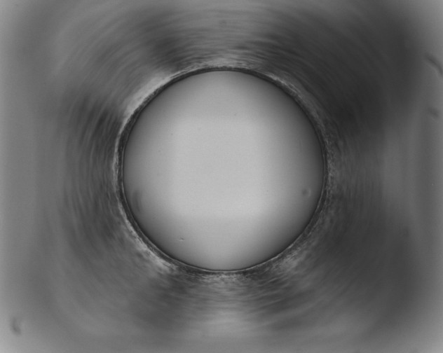 X0000103460902200809261838