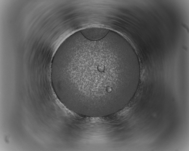 X0000103460903200809261838