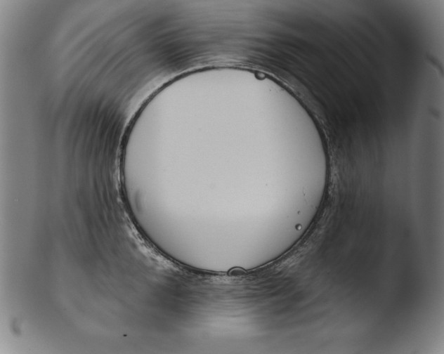 X0000103460904200809261838