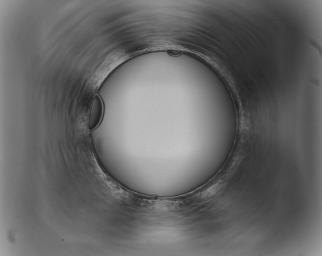 X0000103460905200809261838