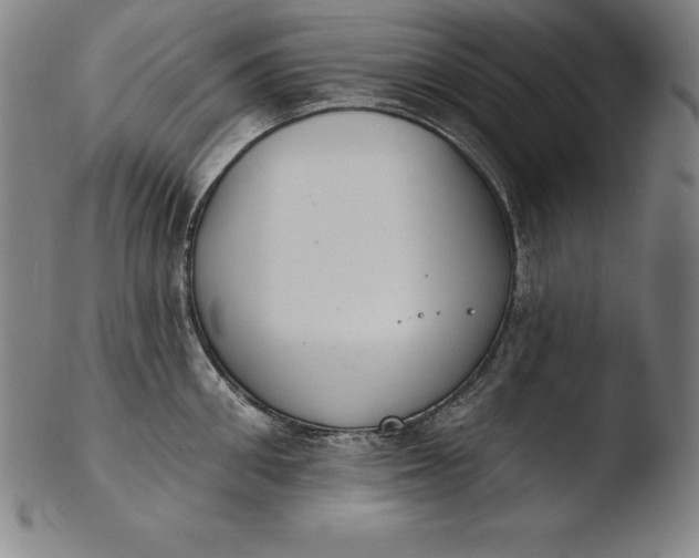 X0000103460906200809261838