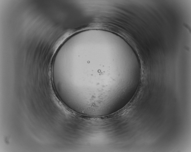 X0000103460907200809261838