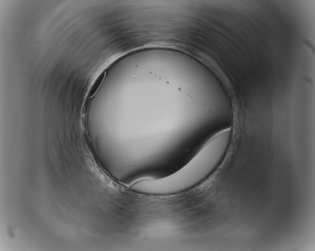 X0000103460908200809261838