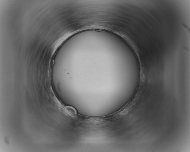 X0000103460910200809261838