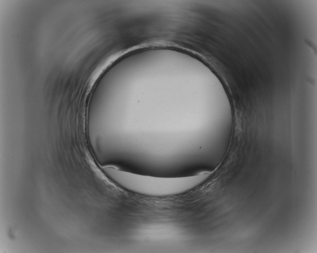 X0000103460911200809261838