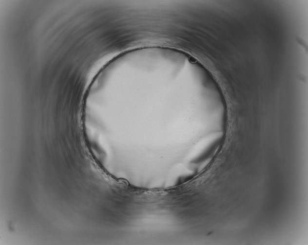 X0000103460912200809261838