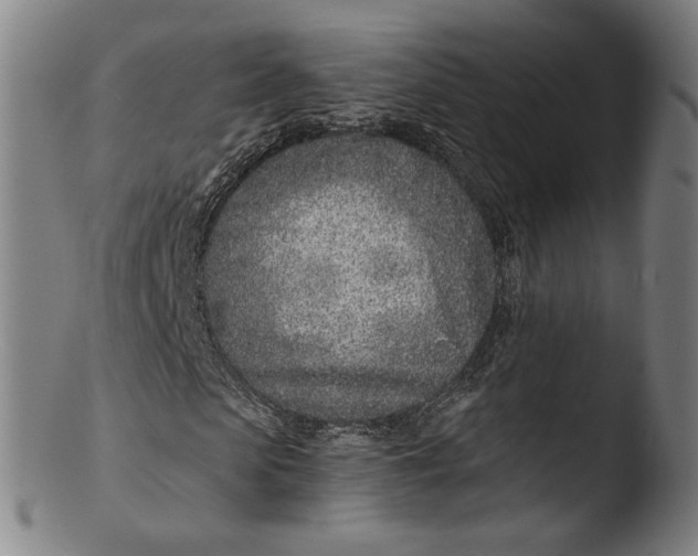 X0000103460913200809261837