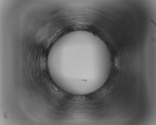 X0000103460915200809261837