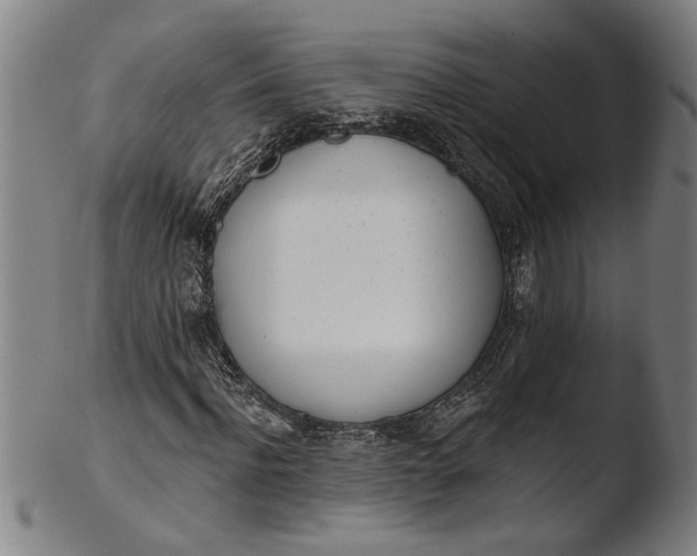 X0000103460916200809261837