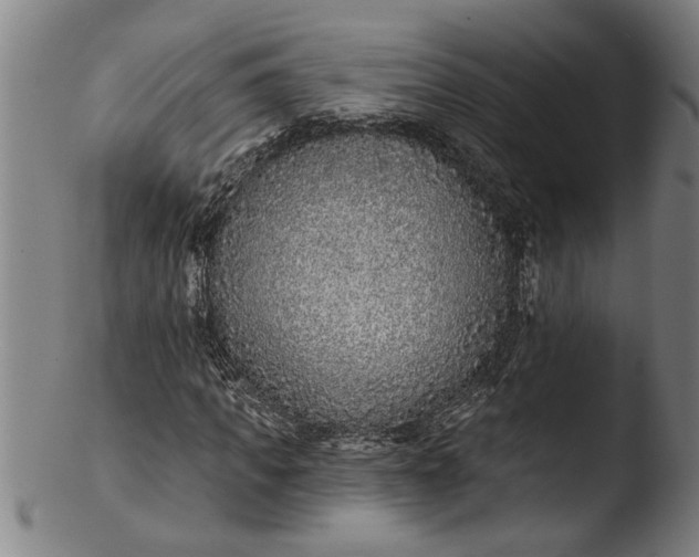 X0000103460917200809261837