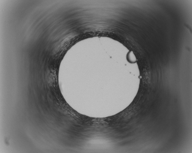 X0000103460918200809261837