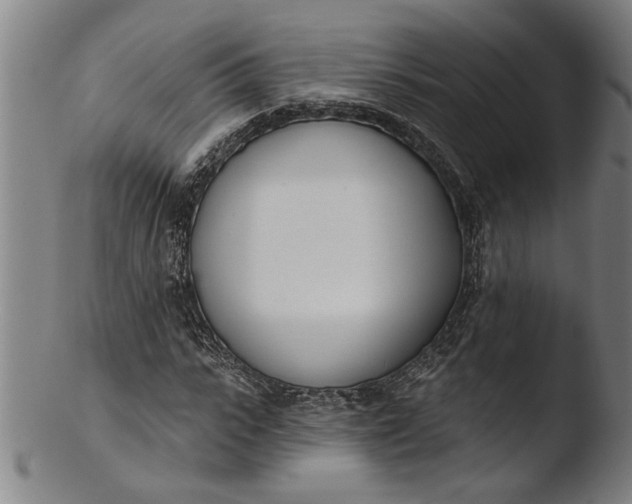 X0000103460919200809261837