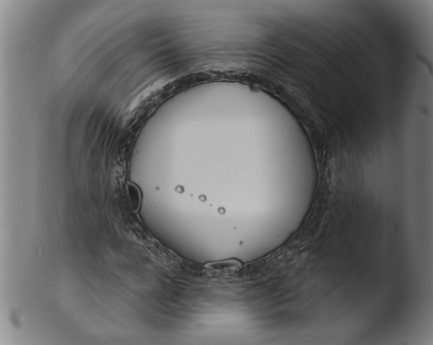 X0000103460920200809261837