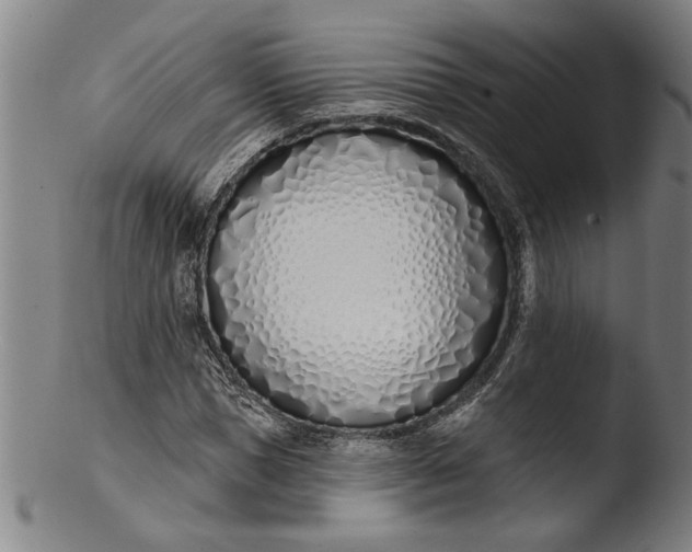 X0000103460921200809261837