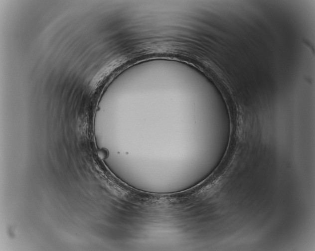 X0000103460922200809261837