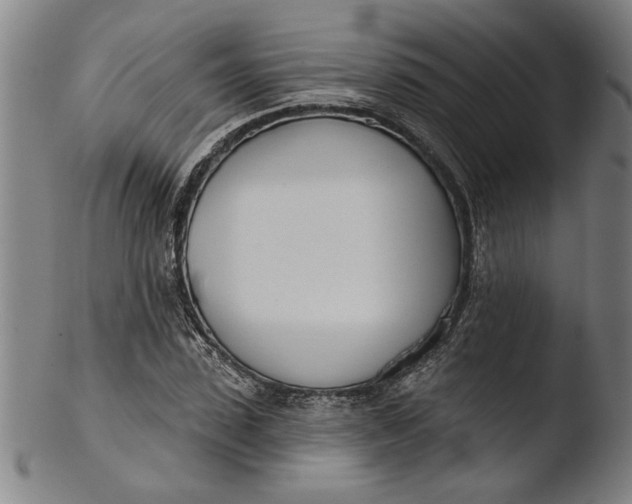 X0000103460923200809261837