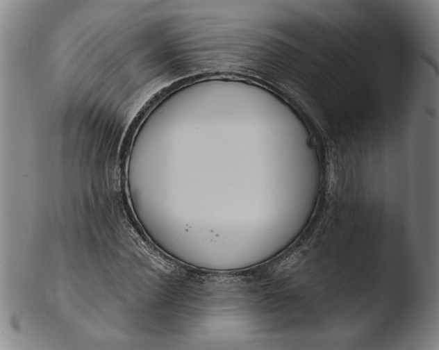 X0000103460924200809261837