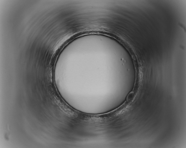 X0000103460925200809261837