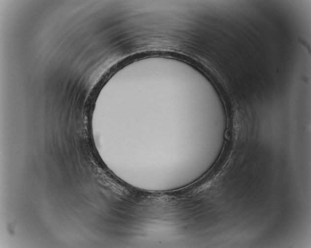 X0000103460926200809261837