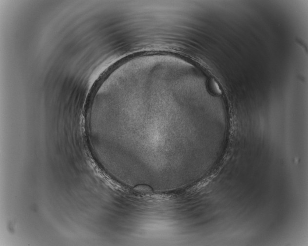 X0000103460928200809261837