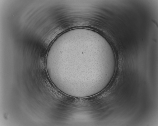 X0000103460929200809261837