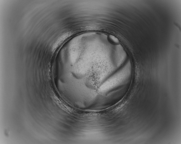 X0000103460930200809261837