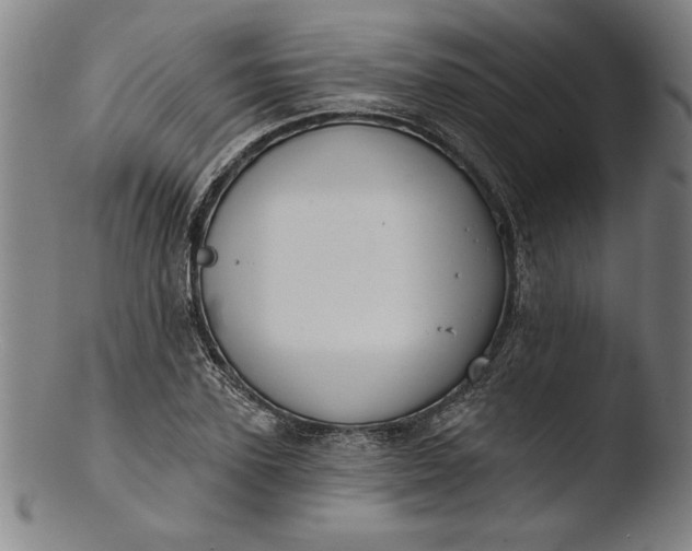 X0000103460931200809261837